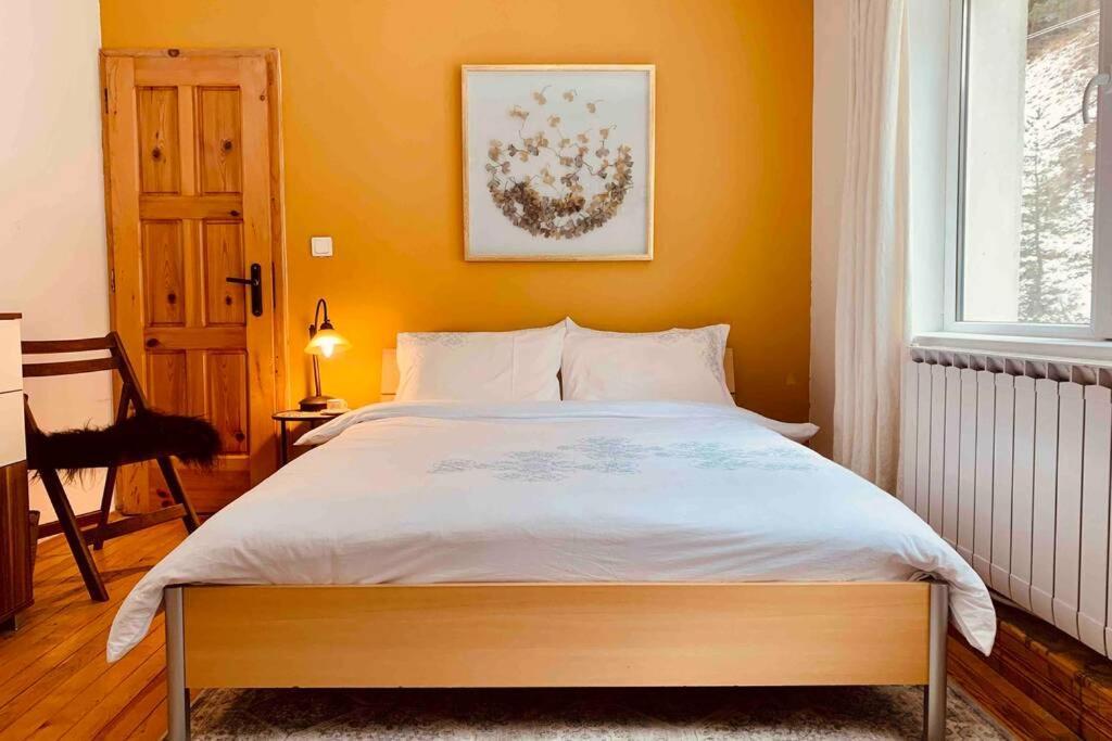 Villa Aquila Beli Iskar Zewnętrze zdjęcie